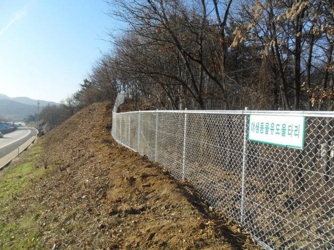 야생동물의 고속도로 침입을 막는 유도 울타리가 설치된 모습. 한국도로공사 제공 