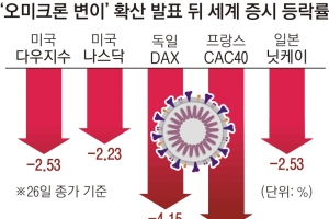 美 70년 만에 최악 ‘블프 하락장’… ‘블랙 먼데이’로 이어지나