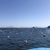 남해안 오래된 어장, 건강한 청정어장으로 재생