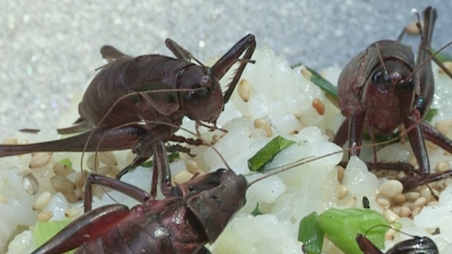 한 자연인 분께서 직접 만든 음식 모습(자료=MBN)