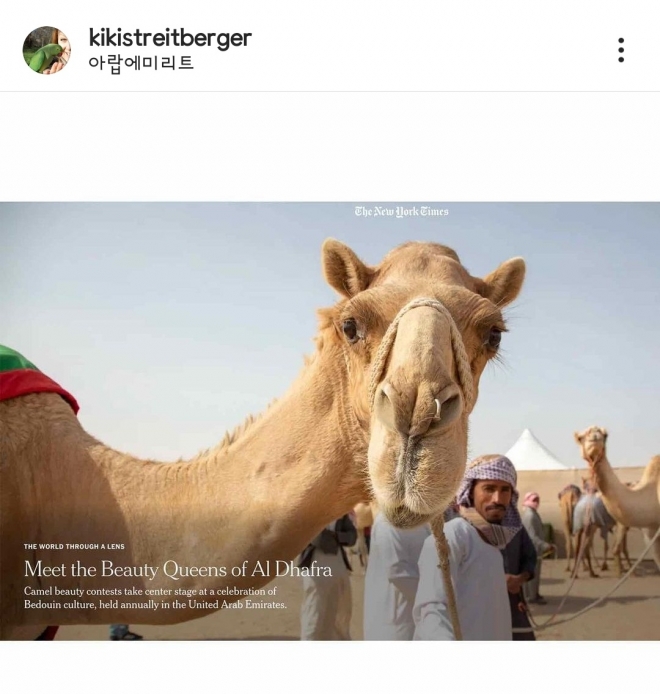 아랍에미리트 알 다프라 축제에서 열린 미녀 낙타 선발대회 사진작가 키키 스트라이트베르거 인스타그램(@kikistreitberger)