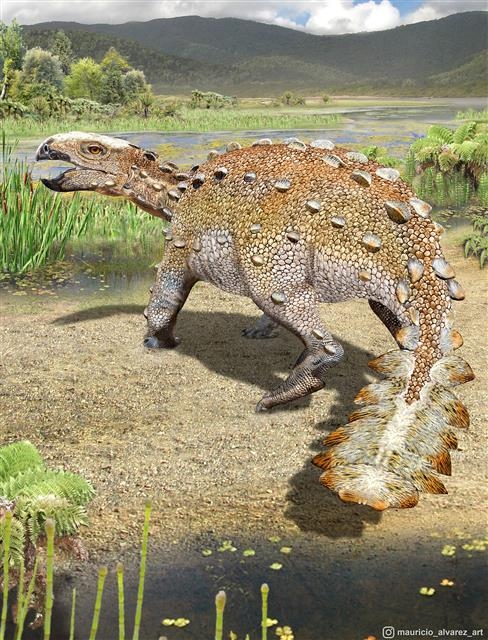 남극으로 가는 초입이라고 할 수 있는 칠레 최남단 마가야네스에서 갑옷공룡 안킬로사우루스의 새로운 종이 발견됐다. 남반구에서 사실상 처음 발견된 갑옷공룡종으로 공룡의 진화 수수께끼를 풀어 주는 또 하나의 열쇠로 받아들여지고 있다. 네이처 제공