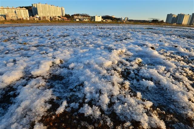 ‘동장군의 위력’… 얼음으로 뒤덮인 형산강