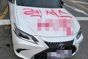 “렉서스 ××” 불법주차 차량에 스프레이 욕설…“응징” vs “범죄”