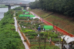 텃밭 가득한 안양천… 도시농부 키우는 금천