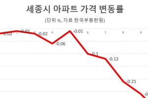 세종 아파트 1주일새 0.33% 하락… 7년4개월 만에 최대 낙폭