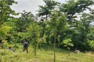 동작, 건강한 생태 숲 조성해 자연재해 예방