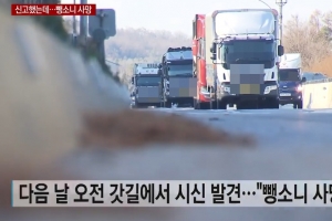 부부싸움 후 고속도로서 내린 아내, 5t 트럭에 뺑소니 사망