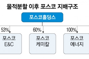 “포스코, 자회사 비상장 약속 지켜야” 증권가, 지주사 전환에 조건부 호평