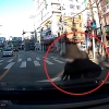 [영상] 무단횡단 사고인데 무조건 운전자 잘못?