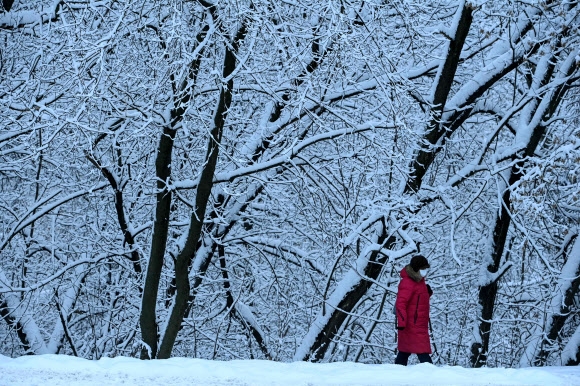 러시아 모스크바 외곽에 폭설이 내린 뒤 마스크를 쓴 여성이 눈 덮인 나무 앞을 걷고 있다. 2021.12. 14  AFP 연합뉴스