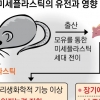 초미세플라스틱 ‘대물림’… 자녀 뇌 발달 해칠 수 있다