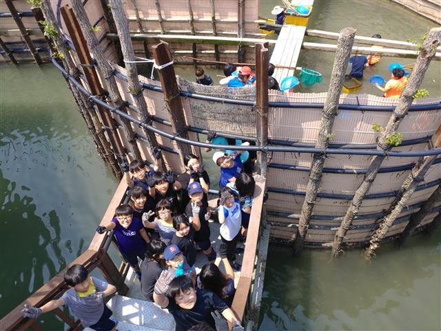 남해 상주초등학교 학생들이 남해에 설치된 전통어로방식인 죽방렴 현장 체험학습을 하고 있다.  경남도 제공