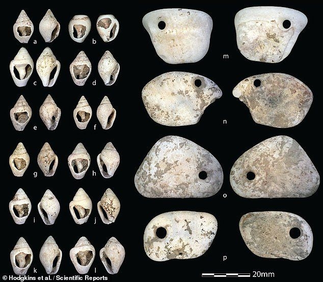 지난 2017년 이탈리아의 아르마 베이라나 동굴에서 발견된 신생아의 뼈 인근에 있던 유물. 콜로라도 대학