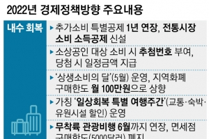 내년 카드 사용액 5% 이상 늘면 최대 100만원 소득공제