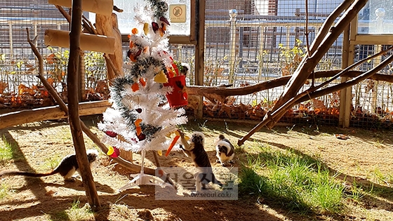 (서울대공원 제공)