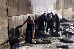 [포토]속초해경, 방파제 추락 50대 여성 구조