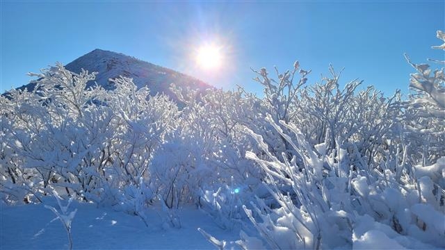 지난 24일 강원 영동지역에 50㎝ 이상 폭설이 쏟아진 가운데 25일 설악산 대청봉 일대가 눈꽃이 피어있다. 2021.12.25  설악산국립공원 사무소 제공