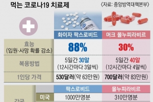 재택치료자 등 ‘5일간 하루 2번’ 복용… “위중증 예방 효과 89%”