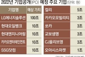 대어 줄상장·유니콘 등판… 내년 IPO ‘30조 시장’ 열리나