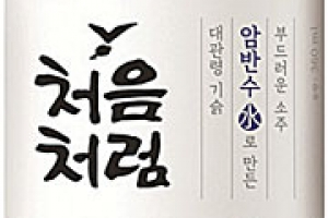 [2021 하반기 히트상품] 롯데칠성음료 ‘처음처럼’