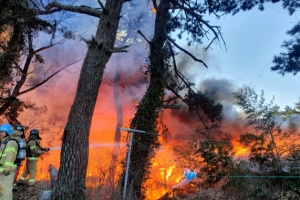 불길과 검은연기… ‘부산 목재소 화재’