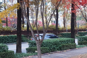 유경준 국회의원, 미세먼지 확산방지를 위해 국비 10억 투입