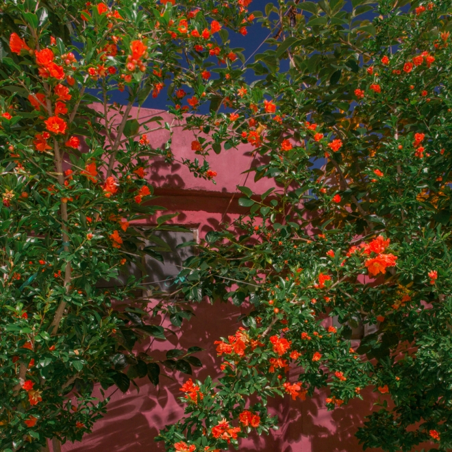 구도하 개인전 ‘버려진 파라다이스’