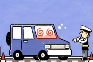 “역주행하는 차량 있다” 신고에 출동했더니…올림픽대로에 주차하고 잠든 20대