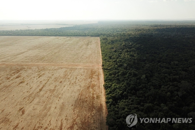 브라질 마토 그로소주 노바사반티나의 세하도와 아마조니아 경계에서 삼림파괴가 진행되고 있는 모습. 2022.01.04 로이터 연합뉴스