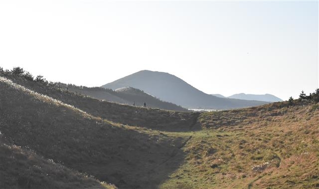부드러운 능선과 억새풀이 아름다운 제주시 구좌읍 용눈이오름은 지난해부터 내년 초까지 자연휴식년제에 들어갔다.