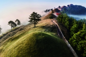 세계유산 등재 앞둔 고령 지산동 고분군 정비…국비 예산 8억 5000만원 확보