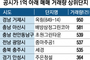 거래 많은 공시가 1억 미만 아파트 어딜까