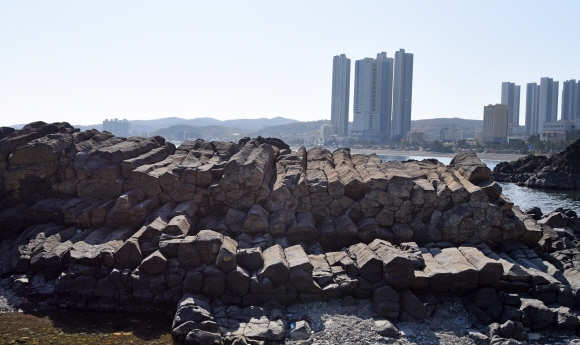 용암 분출로 형성된 강동해변의 화암 주상절리.