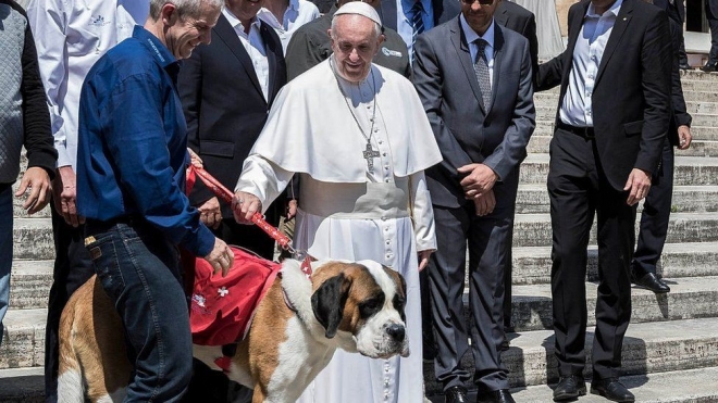 프란치스코 교황이 2015년 미국 방문 때 교황복과 비슷한 디자인의 옷을 입힌 반려견을 데리고 나온 남성이 인사하자 반갑게 맞이하고 있다. AFP 자료사진