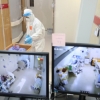 정부 “하반기 코로나 유행 대비“ 중증·준중증 병상 일부 유지