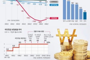 ‘코끼리 연금’ 20여년째 방치… 초당적 개혁기구로 옮겨 수술해야