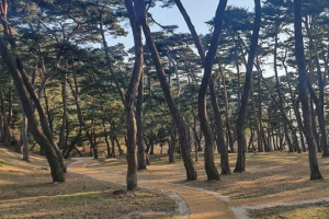 “세계유산 서원 둘레길 걸어볼까?”…전국 9곳 조성사업 속속 마무리