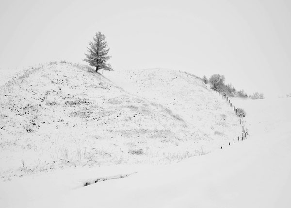 풍경이마음에게 #3 42cm-59.4cm 아카이벌 피그먼트 프린트 에디션 1-10