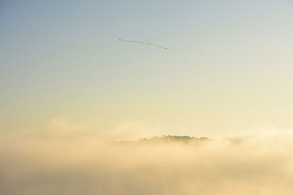 풍경이마음에게 #7 42cm-59.4cm 아카이벌 피그먼트 프린트 에디션 1-10