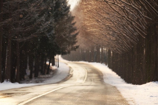 풍경이마음에게 #10 42cm-59.4cm 아카이벌 피그먼트 프린트 에디션 1-10