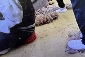 “마른 오징어 신발로 밟아 작업” 영상 공개…누리꾼 논란