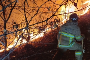 이천 설봉산 정상  큰 불…대응 1단계 야간 진화