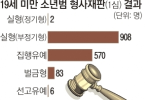 18세 성폭력범 소년원行… 피해자는 웁니다