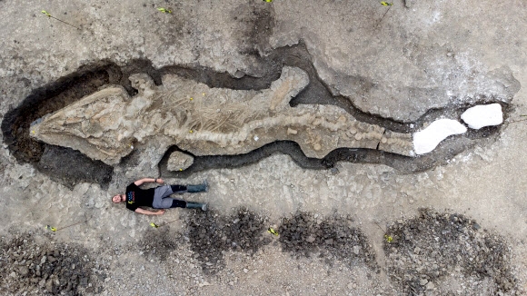 영국서 발견된 1억8천만년 전 10m 길이 어룡 화석