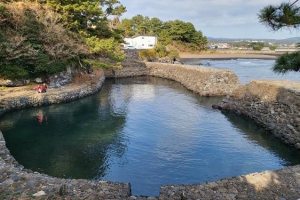 올레길 걷던 엄마가 사라졌다