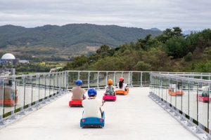 경주서 루지월드서 7세 어린이, 가드레일 충돌 사고로 숨져