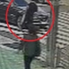 횡단보도서 차량에 고의로 부딪혀 보험금 챙긴 30대 구속