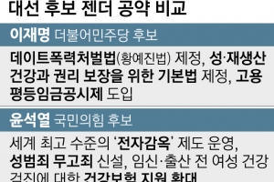 젠더 공약에 젠더 철학이 없다