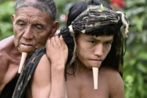 아버지 업고 12시간, 결국 사망… 아마존 원주민 백신 …